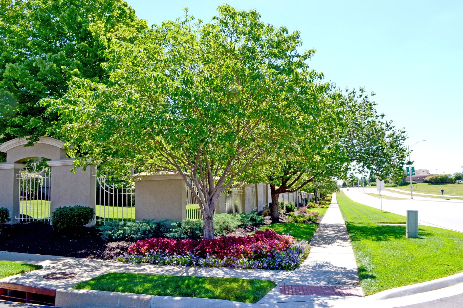 Edgewood Signature Landscape