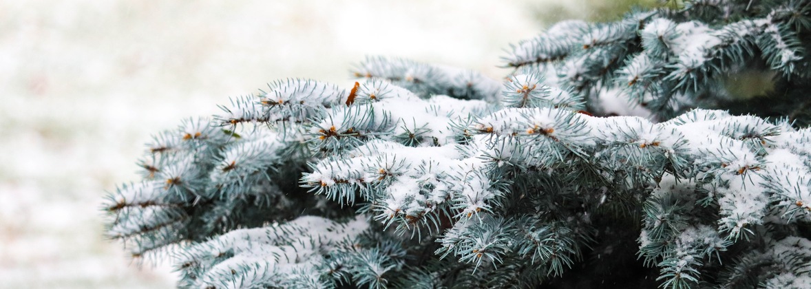 winter blog